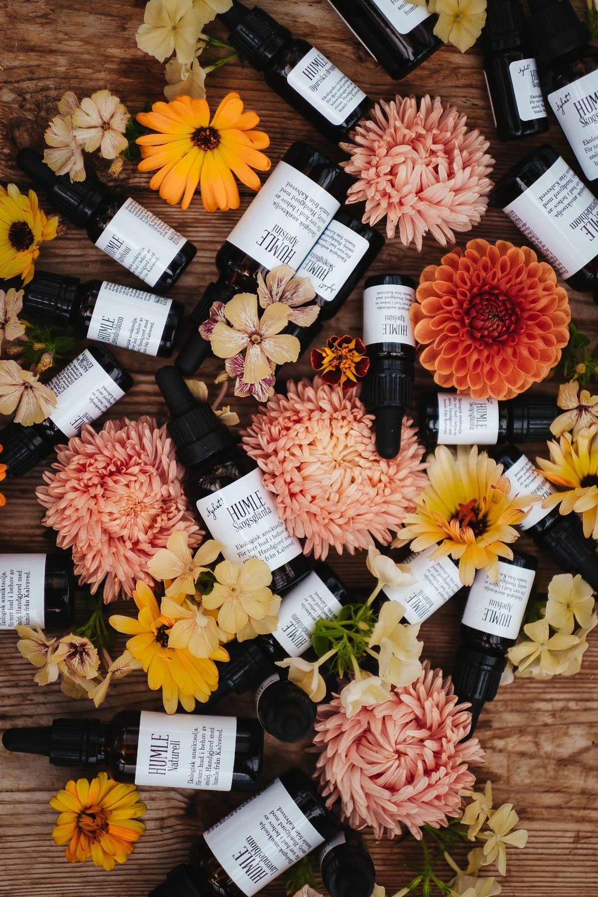HUMLE Ansiktsoljor arrangerade bland färska blommor