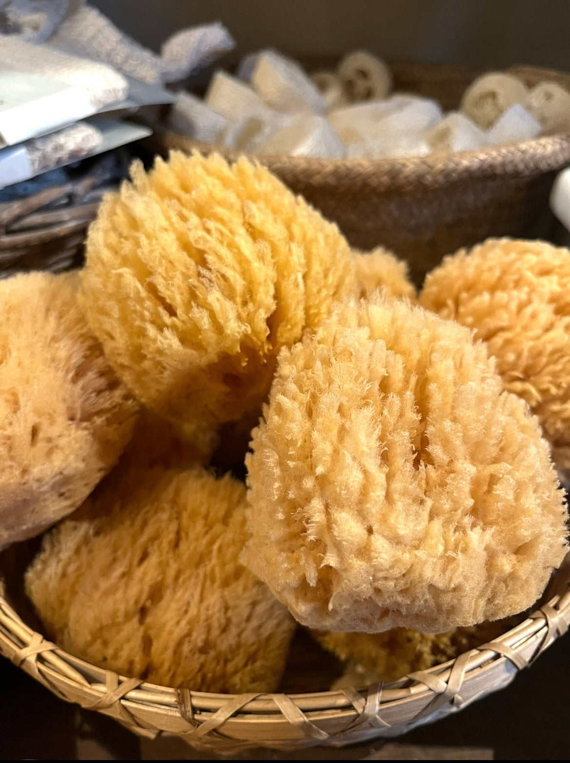 Body Brush with Natural Bristles