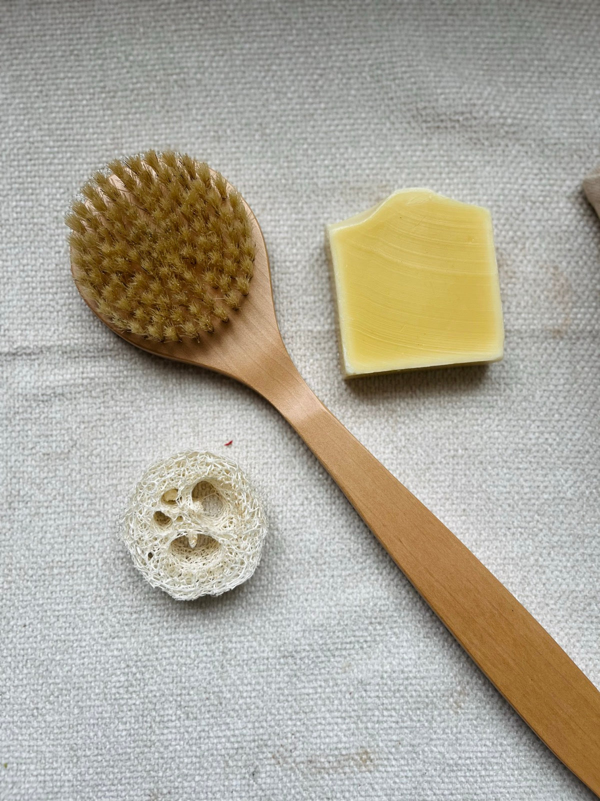 Body Brush with Natural Bristles